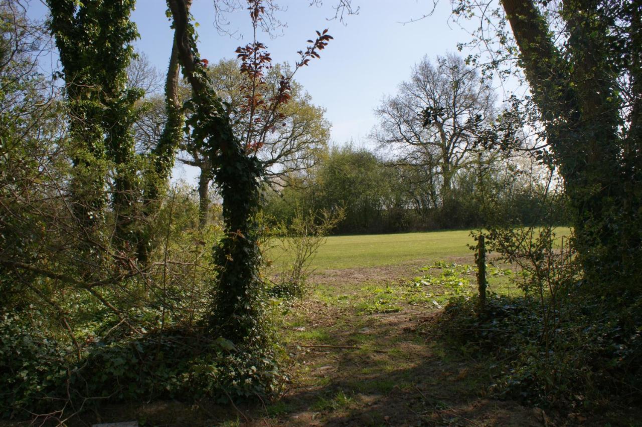Spacious 4 Bed Family Cottage In Parkland Setting York Exteriör bild